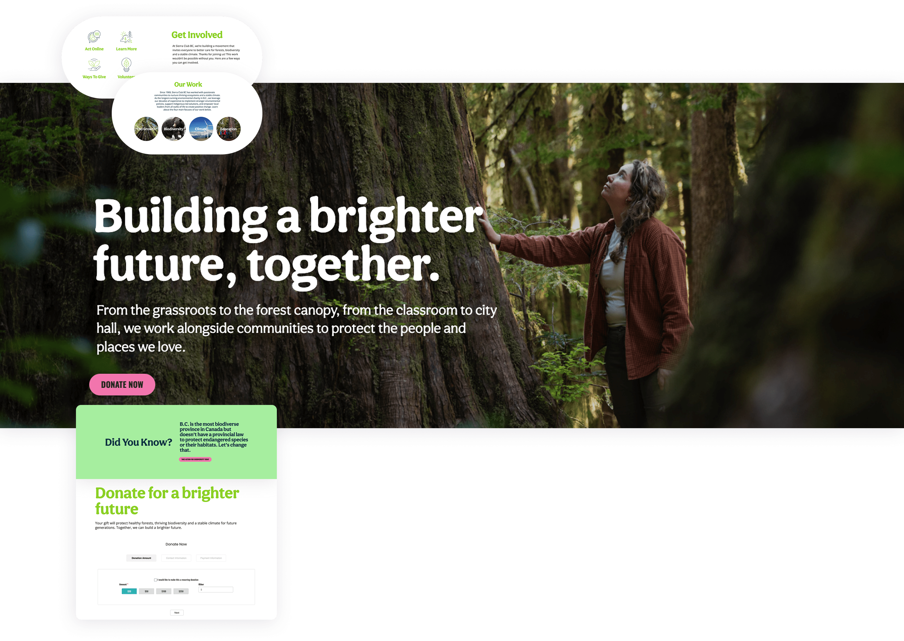 Case study conclusion